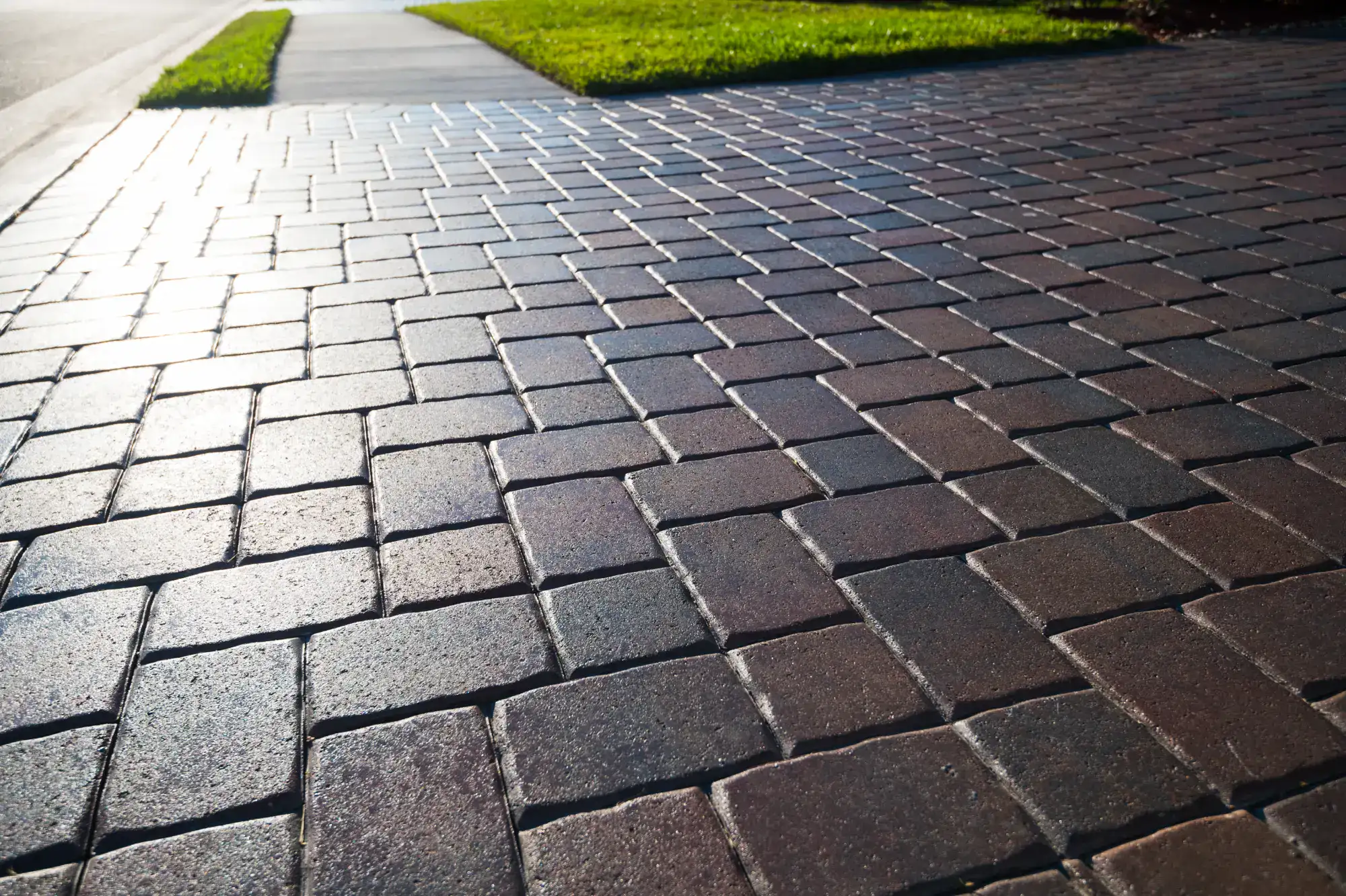 Sunlight reflects off a clean, neatly arranged brick sidewalk with a patch of green grass and a curb visible in the background.